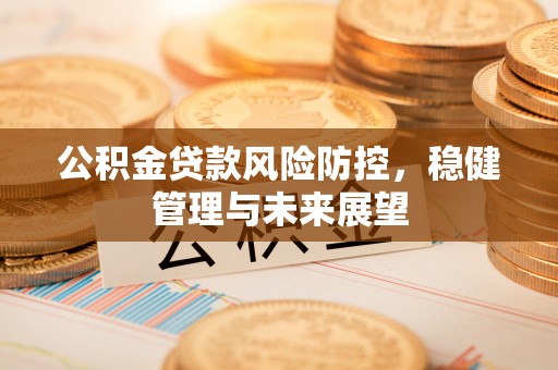 武陟公积金贷款风险防控，稳健管理与未来展望