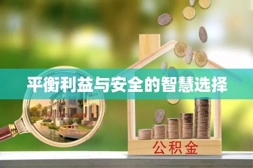 武陟平衡利益与安全的智慧选择