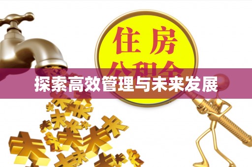武陟探索高效管理与未来发展