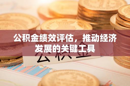 武陟公积金绩效评估，推动经济发展的关键工具