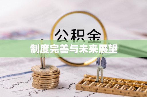 武陟制度完善与未来展望