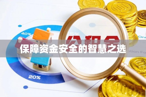 武陟保障资金安全的智慧之选