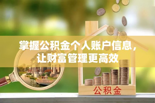 武陟掌握公积金个人账户信息，让财富管理更高效