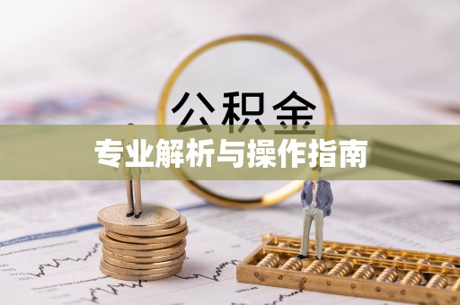 武陟专业解析与操作指南