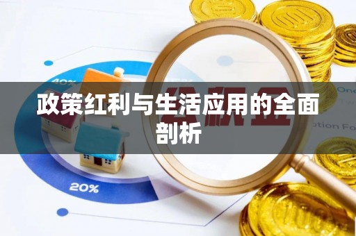 武陟政策红利与生活应用的全面剖析