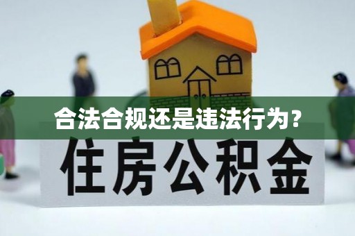 武陟合法合规还是违法行为？