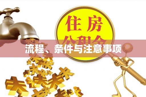 武陟流程、条件与注意事项